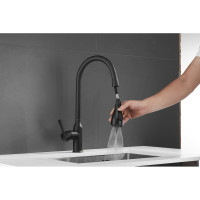 Смеситель для кухни SHEVANIK с выдвижной лейкой душем, черный S163H