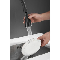 Смеситель для кухни SHEVANIK с выдвижной лейкой душем, черный S163H