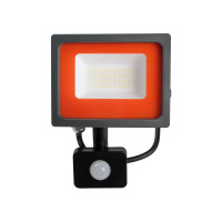 Светодиодный прожектор Jazzway PFL-SC SENSOR 30Вт 6500К IP54 190-260В закаленное матовое стекло 5001411