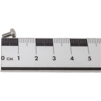 Винт ЦКИ DIN7985 М3х6 нерж. A2 500 шт 58692