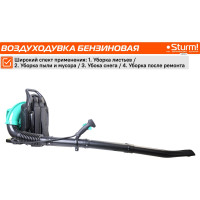 Бензиновая воздуходувка Sturm GB1963