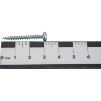 Универсальный шуруп ЕВРОПАРТНЕР полукруглая головка, zn, 3,5x30 40 шт. 14 1184 1