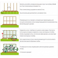 Сетка для винограда ПРОТЭКТ 30х25 мм, 5 м, зеленая УР-30/1/5 з