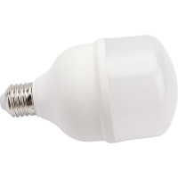 Светодиодная лампа BELLIGHT LED Т80 30W/E27 4000К 22354587