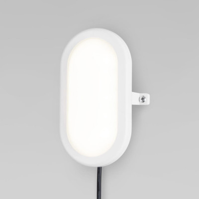Elektrostandard LTB0102D Светильник стационарный светодиодный LED 17см a036709
