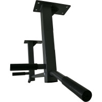 Потолочный турник DFC Homegym G486