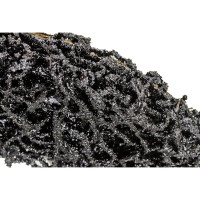 Диск шлифовальный Коралловый (125х13х22.2 мм) для УШМ SKRAB 34675