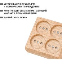 Четырехместная розетка TDM ELECTRIC 2П открытой установки IP20 10A с защитными шторками сосна Ладога SQ1801-0421