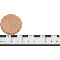 Заглушка Tech-Krep/Zitar дер. на отверстие 35 мм береза 15 шт 148085