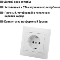 Розетка TDM ELECTRIC 2П+З 16А 250В белая Лама SQ1815-0023