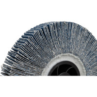 Круг лепестковый радиальный универсальный 125x20 мм, М14, Z Р80 Totflex 4631163848084