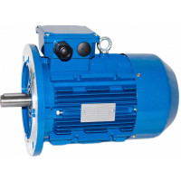 Электродвигатель 5АИ 100 S4 3/1500 IM 3081 01.01.213507