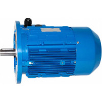 Электродвигатель 5АИ 100 S4 3/1500 IM 3081 01.01.213507
