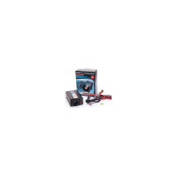 Инвертор R300 300W с USB выходом Robiton 11460