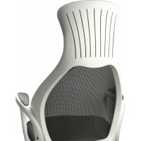 Компьютерное офисное кресло руководителя BRABIX PREMIUM Genesis EX-517, с подлокотниками, экокожа / сетка 531573