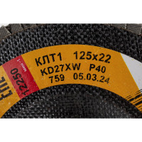 Круг лепестковый торцевой (125х22.2 мм; К40) Энкор 55195