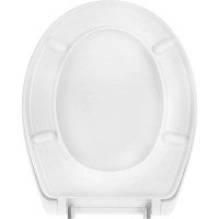 Сиденье с крышкой ROCA VICTORIA Z0000801392004 ZRU8013920 soft close 00000019329
