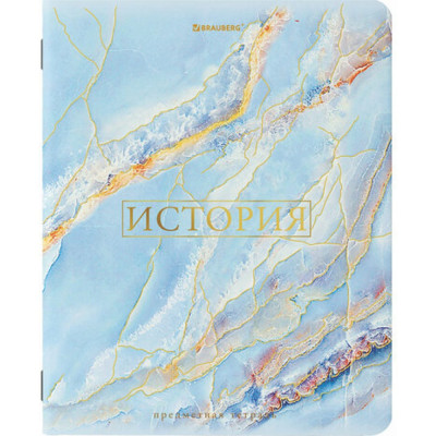 Предметная тетрадь BRAUBERG ИСТОРИЯ PASTEL 404316