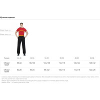 Брюки СОЮЗСПЕЦОДЕЖДА Профессионал, темно-серый/светло-серый, р. 52-54, рост 170-176 2000000033525