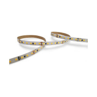 Светодиодная лента Wolta Decor для улицы и дома SMD2835 12Вт 6500К холодный свет 24В IP65 120led/m WLS2835-12W/6500/24S120-01