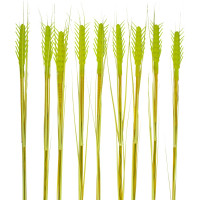 Садовый светильник на солнечной батарее Uniel USL-S-817/PT800 CORN SET10 UL-00009379
