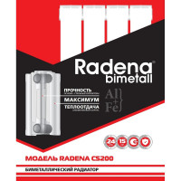 Биметаллический радиатор Radena CS200 12 секций 009010411-02