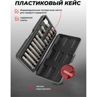 Набор бит TORX с битодержателем (15 предметов; 1/2"; в кейсе) Rockforce RF-4156/C/(27210)