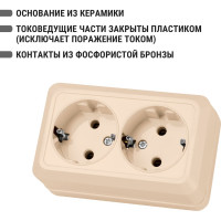 Двойная розетка TDM ELECTRIC 2П+3 открытой установки IP20 16А 250В (керамика) сл. кость "Ладога" SQ1801-0213