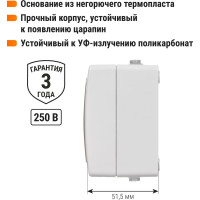 Блок комбинированный TDM ELECTRIC горизонтальный выключатель 1-кл. + розетка 2П+З с з/ш БКВР IP54 "Вуокса" SQ1803-0010
