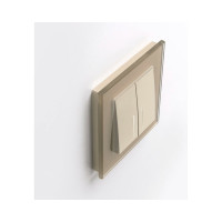 Рамка на 1 пост Werkel W0011111 шампань a050793