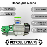 Насос для перекачки масла и топлива Petroll Lyra 75 (wcb-75) 8028