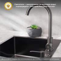 Смеситель для кухни РМС SUS124PVD-017F