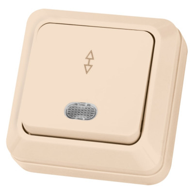 Проходной переключатель TDM ELECTRIC Ладога слоновая кость ОП одноклавишный с подсветкой SQ1801-0012
