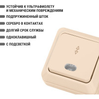 Проходной переключатель TDM ELECTRIC Ладога слоновая кость ОП одноклавишный с подсветкой SQ1801-0012