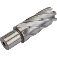 Сверло корончатое HSS по металлу (25х55/88 мм; Weldon 19) D.BOR CD-HSS-055-025-W