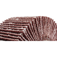 Круг шлифовальный лепестковый радиальный (80x40 мм; хвостовик 6 мм; P60) Hogert Technik HT8D021