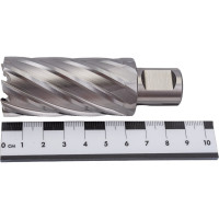 Фреза кольцевая HSS (29x55 мм; Weldon 19) ROTORICA RT.4215029