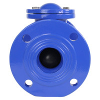 Клапан обратный шаровой DN.ru GGG50-GGG50-БНК-сп Ду65 Ру16 со сливной пробкой, чугунный D100-01577