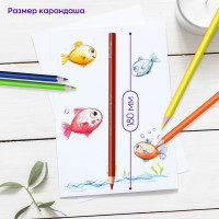 Акварельные карандаши BERLINGO SuperSoft Рыбки, 36 цветов+кисть, трехгранные, заточенные SSA1736