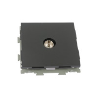 Телевизионная розетка CGSS черная Практика PL-W201V-BCM