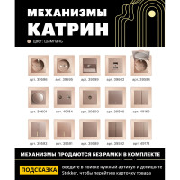 Горизонтальная 2-местная рамка STEKKER серия Катрин, стеклянная, GFR00-7002-02, шампань 39528