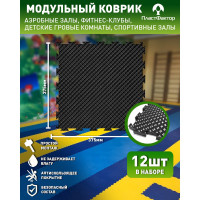 Напольное модульное покрытие ПластФактор FACTOR SPORT (10х375х375 мм; Ral 9005; 12 шт) 4630027111609