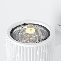 Настенный светильник (бра) MAYTONI Rando O419WL-01W