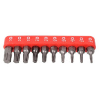 Набор вставок TORX с магнитными держателями (10 шт; 1/4"DR) ROCKFORCE RF-21022 RF-21022(1279)
