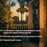 Светильник уличный TDM ELECTRIC "Париж" 60 Вт, подвес, алюминий, прозрачное/бронза, Е27 SQ0330-0214