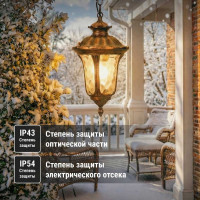 Светильник уличный TDM ELECTRIC "Париж" 60 Вт, подвес, алюминий, прозрачное/бронза, Е27 SQ0330-0214