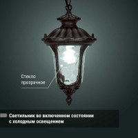 Светильник уличный TDM ELECTRIC "Париж" 60 Вт, подвес, алюминий, прозрачное/бронза, Е27 SQ0330-0214