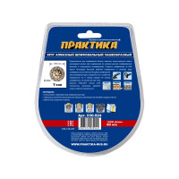 Чашка алмазная шлифовальная Т-тип серия Эксперт (125х22) ПРАКТИКА 030-924