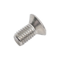 Винт с потайной головкой ВИРТУОЗ крестовой шлиц 5x10 мм, DIN 965, нержавеющая сталь А2, 8 шт. 44796