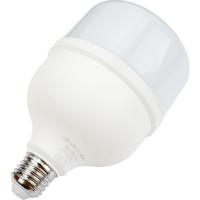 Светодиодная лампа BELLIGHT LED Т100 40W/E27 4000К 22354588